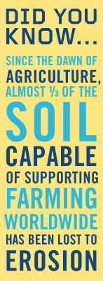 DID YOU KNOWSince the dawn of agriculture, almost 1/3 of the soil capable of supporting farming worldwide has been lost to erosion