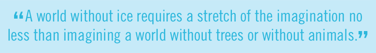A world without ice requires a stretch of the imagination no less than imagining a world without trees or without animals.